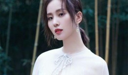 最新大爆料刘诗诗视频,揭开幕后的真实一面