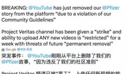 辉瑞最新爆料新闻报道,揭秘疫苗研发过程中的关键细节