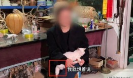 南京爆料博主事件视频最新,真相与争议交织的舆论漩涡