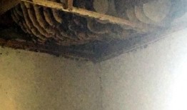 最新古墓发掘视频爆料,千年宝藏重现世间