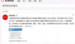 明星八卦大爆料最新资源网盘,揭秘最新资源网盘独家内容