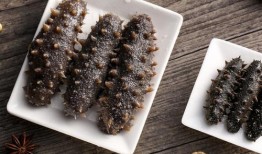 烟台海参爆料视频大全最新,揭秘行业真相与品质之谜