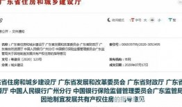 房产新闻爆料视频最新版,揭秘热点新闻爆料视频背后的真相