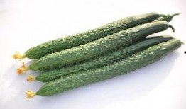 曲阳吃瓜爆料最新,揭秘娱乐圈最新热点事件