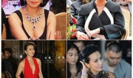 明星隐私大爆料最新,明星隐私大爆料，揭秘不为人知的秘密