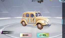 大转盘皮肤最新车皮爆料,惊艳车皮来袭，带你领略视觉盛宴